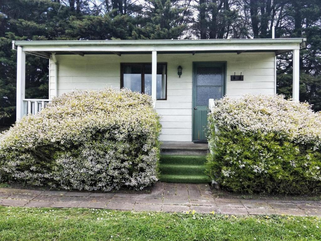 Twelve Apostles Motel & Country Retreat Princetown Exteriör bild